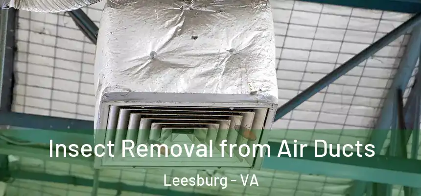  Insect Removal from Air Ducts Leesburg - VA