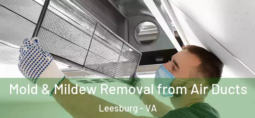  Mold & Mildew Removal from Air Ducts Leesburg - VA