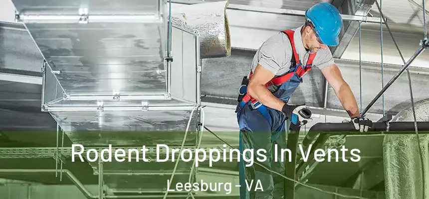  Rodent Droppings In Vents Leesburg - VA