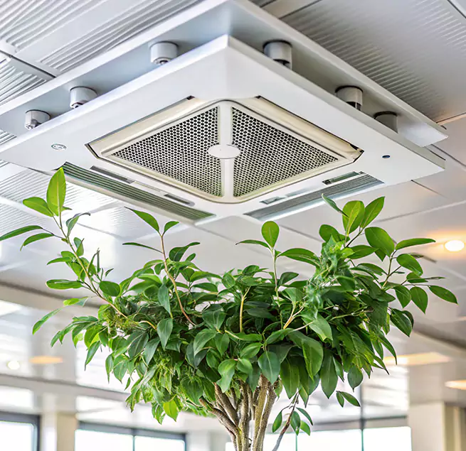 Why Homeowners & Businesses Trust Us in Leesburg, VA?